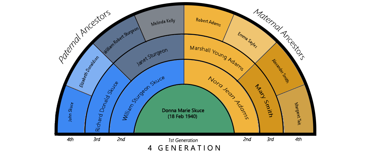 Donna's ancestors - 4 genterations fan chart